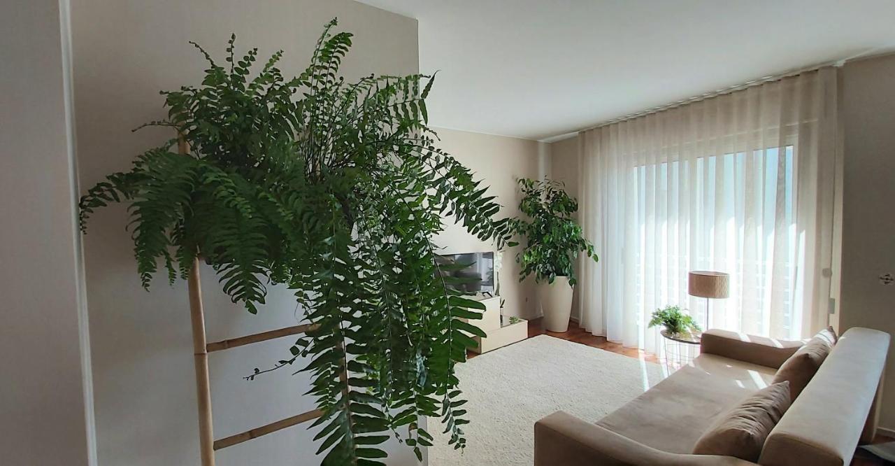 Jardim na Praia Apartament Matosinhos  Bagian luar foto